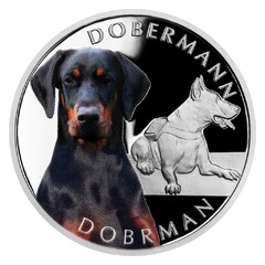 Stříbrná mince Psí plemena - Dobrman (proof)
